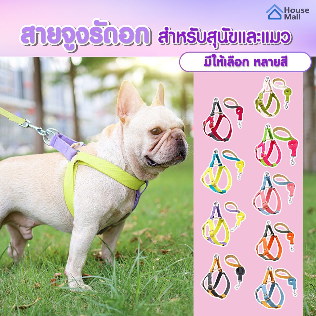 สายรัดอกสุนัข DOGLEMI สายจูงสุนัข เสื้อรัดอก ปลอกคอสัตว์เลี้ยง สีสวยทูโทน สำหรับสุนัขและแมว Cat Dog Harness
