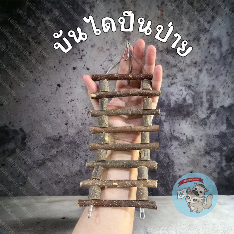 V ( ของเล่นบันไดปีนป่าย ) ของเล่นปีนป่าย ไม้แอปเปิ้ล