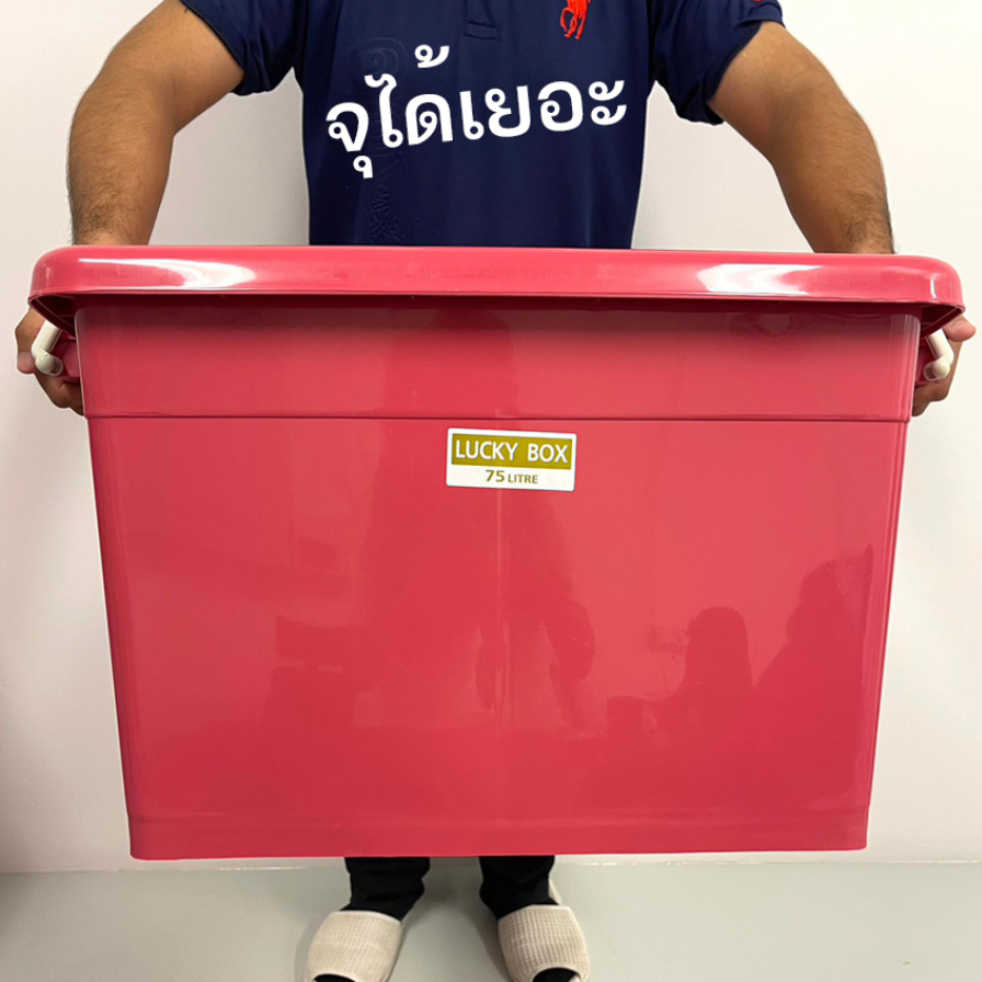 รูปภาพ 5