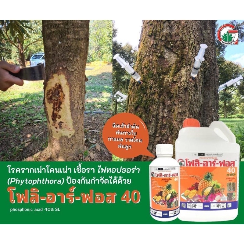 🌾 โฟลิอาร์ฟอส 5 ลิตร ฝังเข็มทุเรียน ฝังเข็มต้นทุเรียน กรดฟอสโฟนิก ฟอสโฟนิค🌺