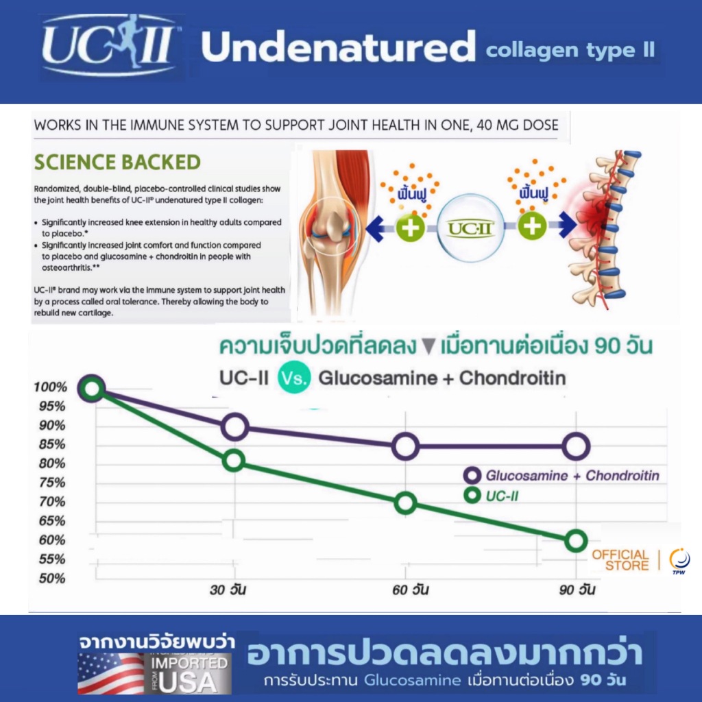 คอลลาเจนไทพ์ทู คอลลาเจนข้อเข่า +แคลเชียม แอล ทรีโอเนท / Calcium L-Threonate + Undenatured Collagen type II , ( UC-ll ) - รูปที่ 4