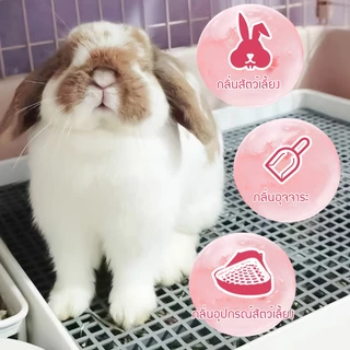 yugogo🐾น้ำยาล้างคราบฉี่กระต่าย เครื่องดับกลิ่นกระต่าย กลิ่นอุจจาระ ต้านเชื้อแบคทีเรียในระยะยาว ดับกลิ่นอย่างรวดเร็ว