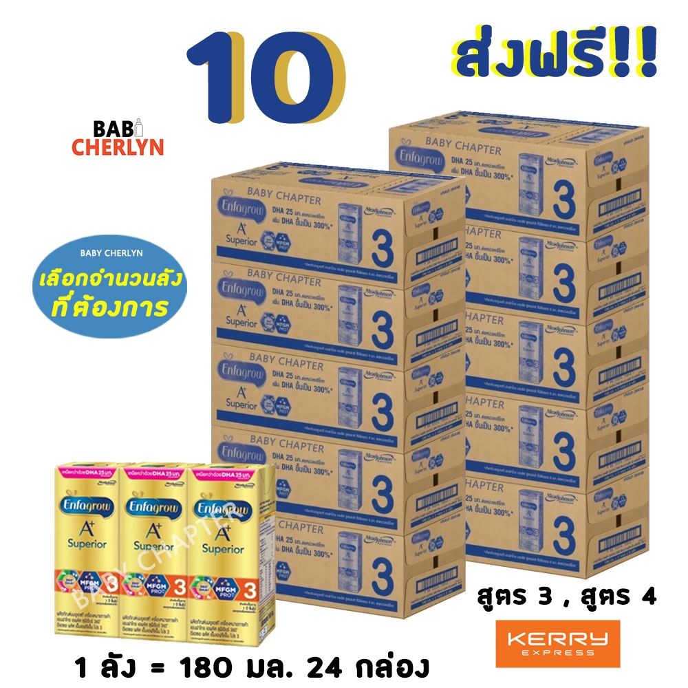 10 ส่งฟรี! Enfagrow A+ Superior สูตร 3 เอนฟาโกร เอพลัส ซุพีเรียร์ 360 กล่องสีทอง 180 มล 24 กล่อง นม 