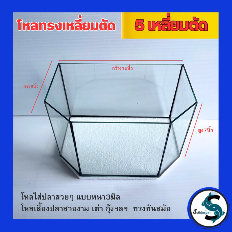 โหล5เหลี่ยม (แบบตัดหลัง) หนา3มิลดีไซน์สวย (เลี้ยงสัตว์ขนาดเล็ก เต่า ทนทาน )