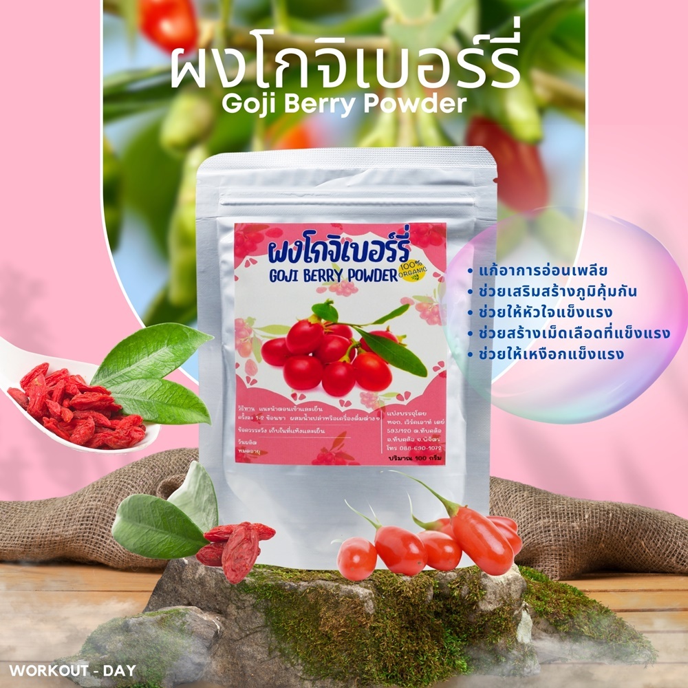 ผงโกจิเบอร์รี่(เก๋ากี้) ขนาด100กรัม สมุนไพรจีนสุดยอดยาอายุวัฒนะ