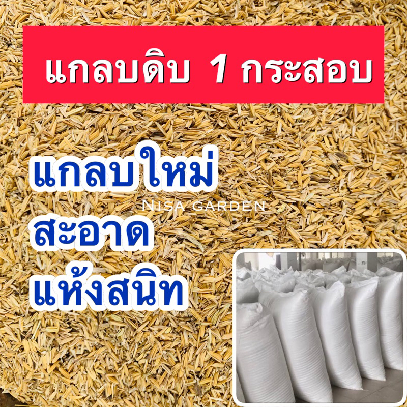 แกลบดิบ ยกกระสอบ 8 กก. สุดคุ้ม!! ส่งตรงจากโรงงาน