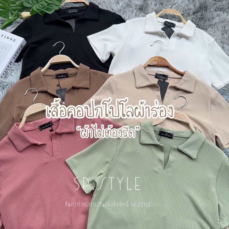 Pannie Basic Polo เสื้อคอปกโปโลทรงสวย🍞แมชท์ง่าย🫶🏻 PA2