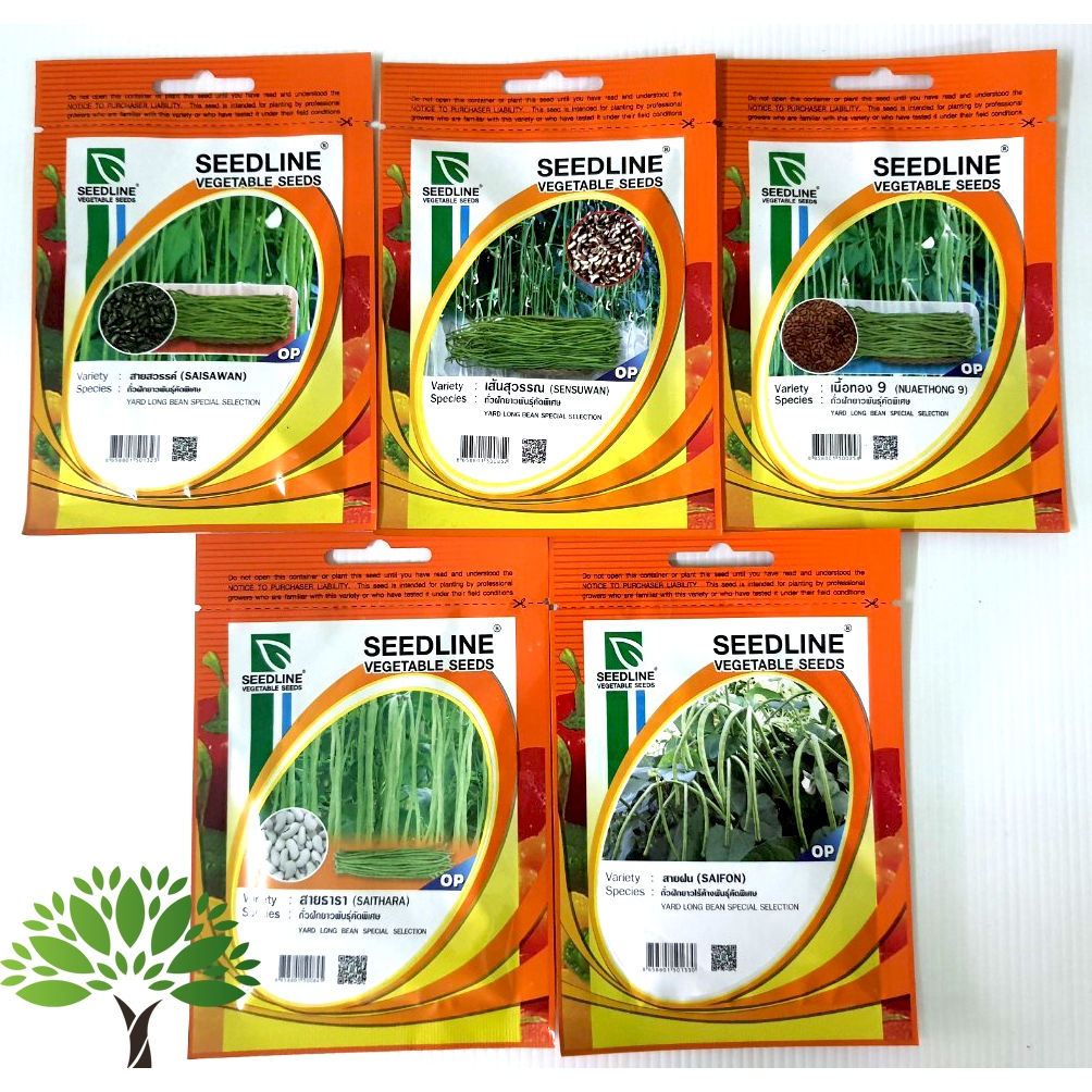 ถั่วฝักยาว ( Yard long bean) เมล็ดพันธุ์ถั่ว  พันธุ์ถั่ว