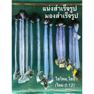 มอง ข่ายดักปลาสำเร็จรูป มีทุ่น มีตะกั่ว ตาถี่ 1.3-14 ซม. ยาวประมาณ 35 เมตร(ป้าย 75 ม.)