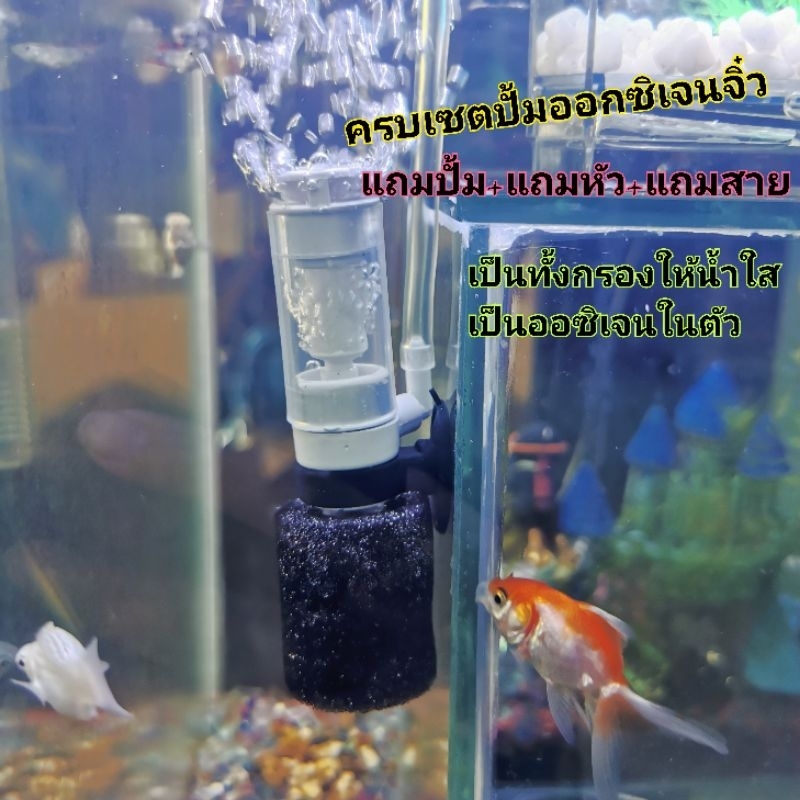 ครบเซจปั้มออกซิเจน​.(จิ๋ว​). (เป็นตัวกรอง+เป็นออซิเจน)​ ใช้ได้กับตุ้ปลา6นิ้ว-15นิ้ว ราคา ถูกที่สุด ดีลบีเคเค รูปภาพหลัก