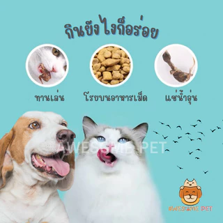 นกกระทาฟรีซดราย (Baby Quail Freeze-Dried) บำรุงผิวหนังและเส้นขน สำหรับหมา และแมว ขนมสัตว์เลี้ยง อาหารสัตว์เลี้ยง