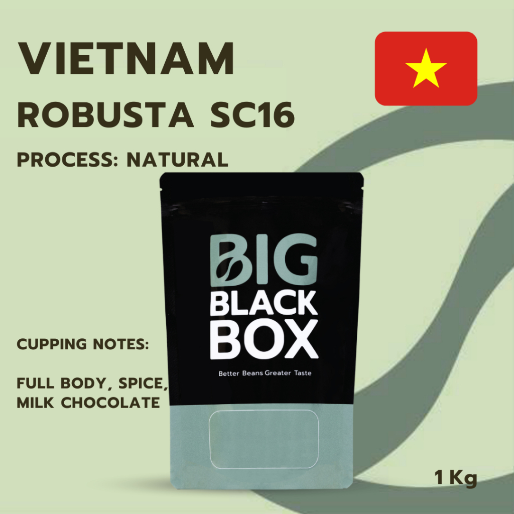 (CAS02-VIE-02) สารกาแฟ VIETNAM ROBUSTA SC16 Natural