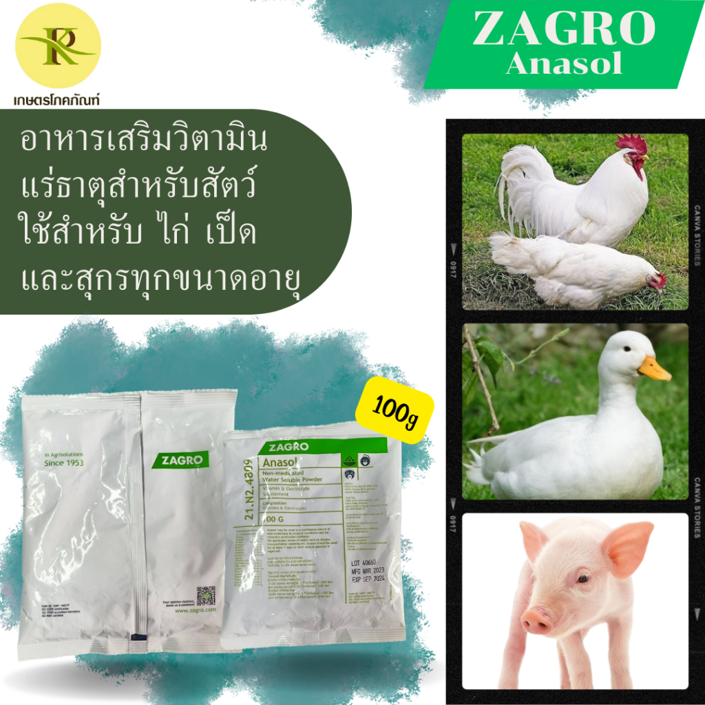 ZAGRO Anasol  ซาโกร อาหารเสริมวิตามิน แร่ธาตุสำหรับสัตว์ ใช้สำหรับ ไก่ เป็ด และสุกร  ปริมาณ 100g