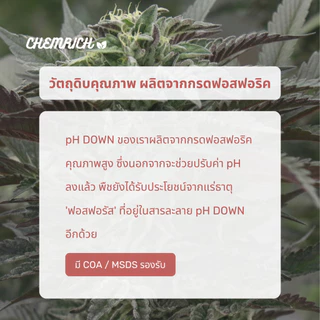1000ml pH DOWN น้ำยาลดค่า pH สูตรเข้มข้น / Concentrated buffering solution for pH stability - Chemrich