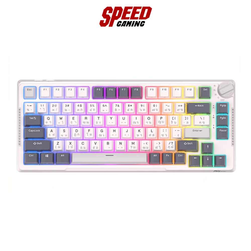 ROYAL KLUDGE RKH81 WIRELESS KEYBOARD (คีย์บอร์ดไร้สาย) Switch  Blue Clicky / Brown Tactile / Sky Cya