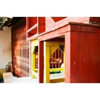 Fujifilm 200 Color Negative Film ฟูจิ 200 Fujicolor ฟิล์มสี