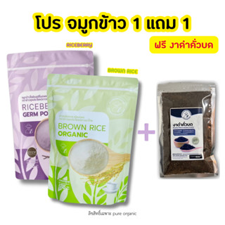 จมูกข้าวไรซ์เบอร์รี่ จมูกข้าวกล้อง (2 ถุง ขนาด 500g) + งาดำค…