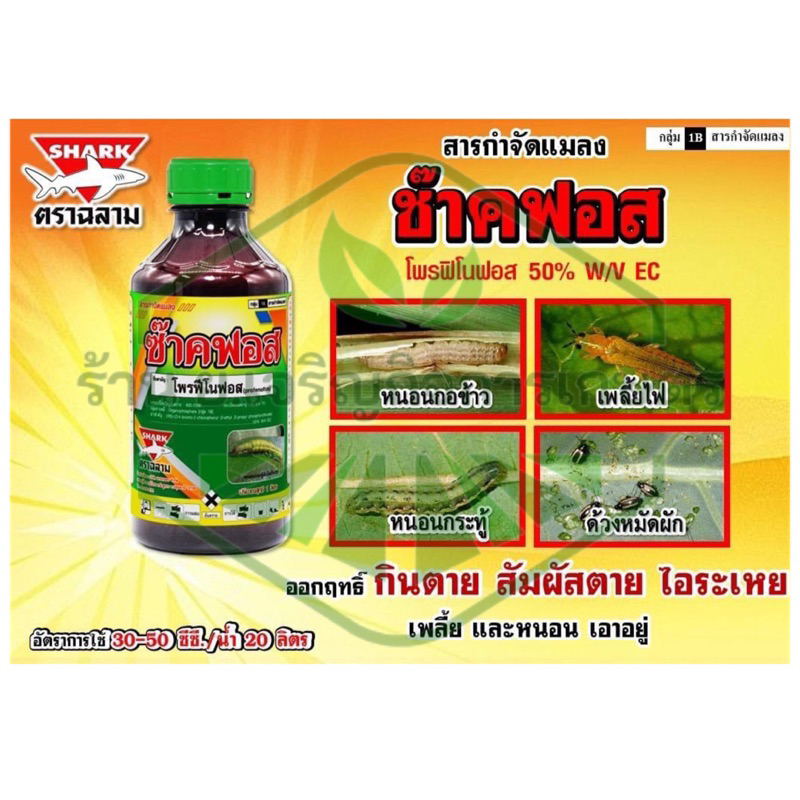 ขนาด 1L ช๊าคฟอส(โพรฟิโนฟอส) กำจัดแมลงศัตรูพืช หนอนใยผัก หนอนคืบกะหล่ำ หนอนเจาะสมอฝ้าย เพลี้ยจักจั่น เพลี้ยกระโด