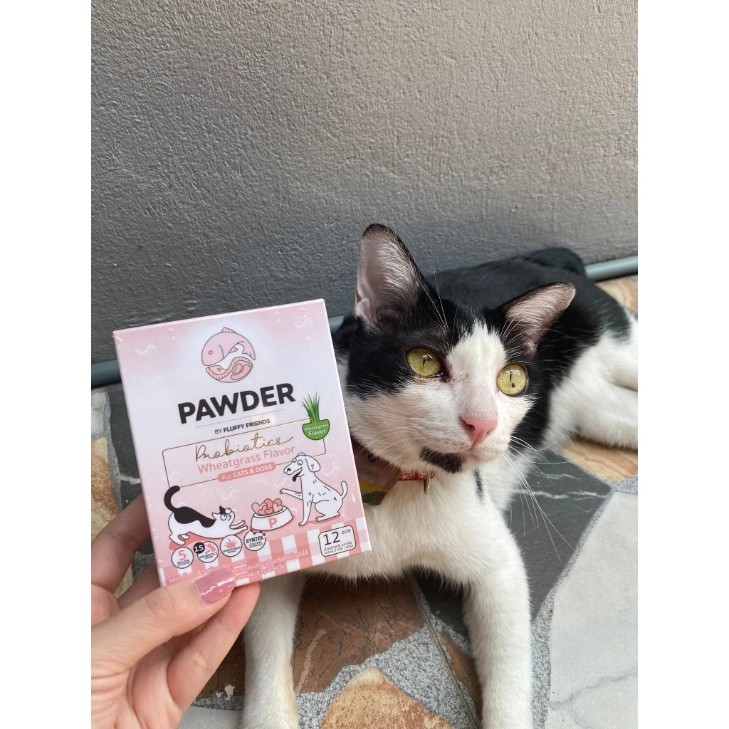 Pawder Probiotics อาหารเสริมโพรไบโอติกส์ ผสมสารสกัดต้นข้าวสาลีอ่อน สำหรับสุนัขและแมว ผลิตและนำเข้าจากไต้หวัน thumbnail 10