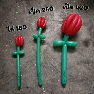 ส่งไวปู๊ดป๊าดด (อ่านก่อนซื้อ*เป็ด95เส้น+/ไก่110เส้น**+) ❤ เกรด A ลูกโป่งไส้ไก่ ไส้เป็ด ลูกโป่งยาว ลูกโป่งบิดได้