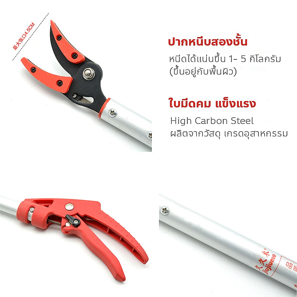 กรรไกรตัดหนีบผลไม้ ตัดกิ่งไม้สูง ด้ามยาว สไลด์เก็บได้ (ตัด หนีบ เลื่อยได้) กรรไกรเก็บผลไม้ ราคา ถูกที่สุด ดีลบีเคเค แกลเลอรีภาพที่ 6