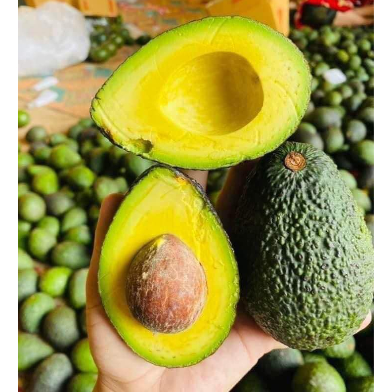 อะโวคาโด้ พันธุ์แฮส 1กิโล (6-8ลูก) Avocado Hass สดๆจจากสวน