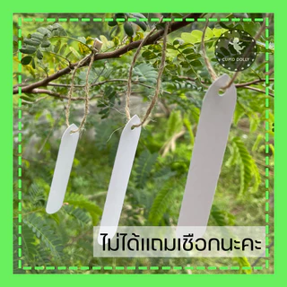 ป้ายแท็ก พลาสติก สีขาว มีรู 10x2 cm. ใช้ปักได้ ใช้แขวนได้ ป้ายแท็กต้นไม้ กระบองเพชร ป้ายชื่อต้นไม้