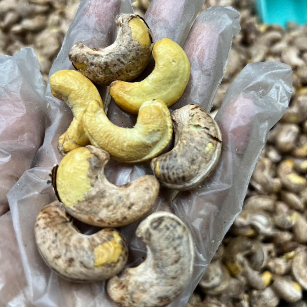 เม็ดมะม่วงหิมพานต์เผาแบบมีเปลือก 500 กรัม