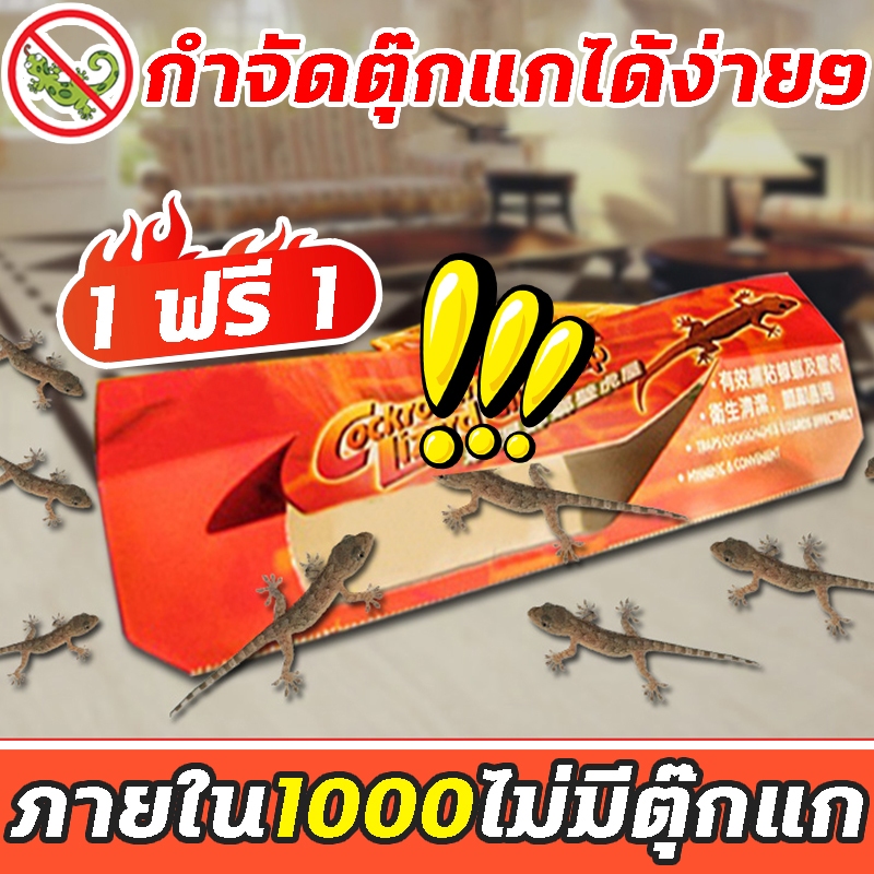 🦎ติดตุ๊กแกได้ง่าย🦎DT กําจัดจิ้งจก ดักจิ้งจก บ้านจิ้งจก การจับตุ๊กแกทางกายภาพ ปลอดภัยยิ่งขึ้น ไม่มีสารเคมี ไร้กังวล