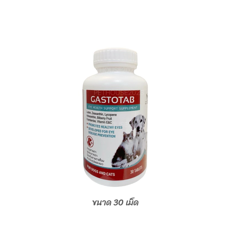 GASTOTAB อาหารเสริมบำรุงสายตาสุนัขและแมว บำรุงจอประสาทตา ป้องกันสายตาเสื่อม (30 เม็ด) thumbnail 5