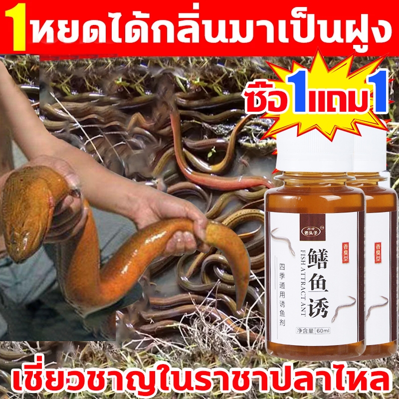 1 หยดได้กลิ่นมาเป็นฝูง หัวเชื้อปลาไหล ลอบดักปลา เชี่ยวชาญในราชาปลาไหล หัวเชื้อดักปลาไหล ล่อปลาไหล จับปลาไหลเร็ว