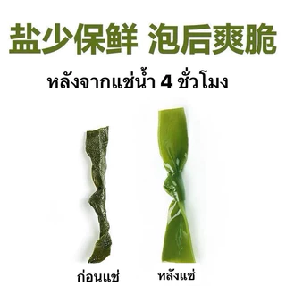 🌿สาหร่ายผูกโบว์แห้ง หม่าล่าสายพาน ซุปสาหร่าย หม้อไฟ ได้หลายเมนู 100g 海带扣
