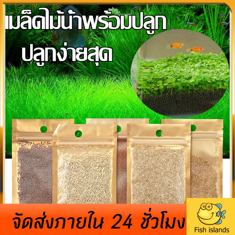 เมล็ดพันธุ์ไม้น้ำ หญ้าไม้น้ำ เมล็ดไม้น้ำ ปลูกตกแต่งตู้ปลา มี 6 ชนิด 5g/ซอง ดินปลูกไม้น้ำ