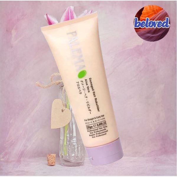PALEMA Damaged Hair Rebuilder 250 ml ครีมบำรุงเส้นผม