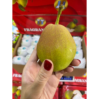สาลี่หอม แพรหอม 1kg หวานหอม กรอบ อร่อย 🍐🍐🍐