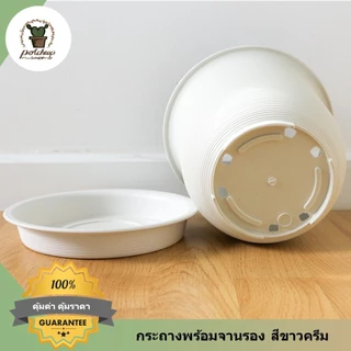 กระถางต้นไม้ทรงกลมญี่ปุ่น 15 12 10 8 6 นิ้ว พร้อมจานรองสีขาว รุ่นญาญ่า