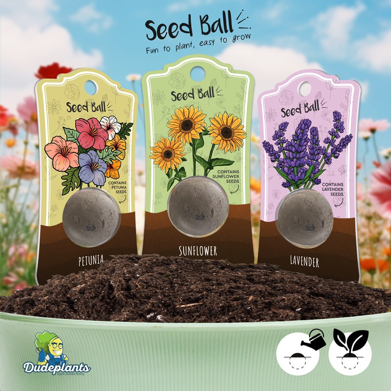 Seed ball : ชุดปลูกดอกไม้