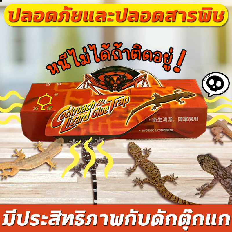 🦎ติดตุ๊กแกได้ง่าย กําจัดจิ้งจก ดักจิ้งจก บ้านจิ้งจก การจับตุ๊กแกทางกายภาพ ปลอดภัยยิ่งขึ้น ไม่มีสารเคมี ไร้กังวล