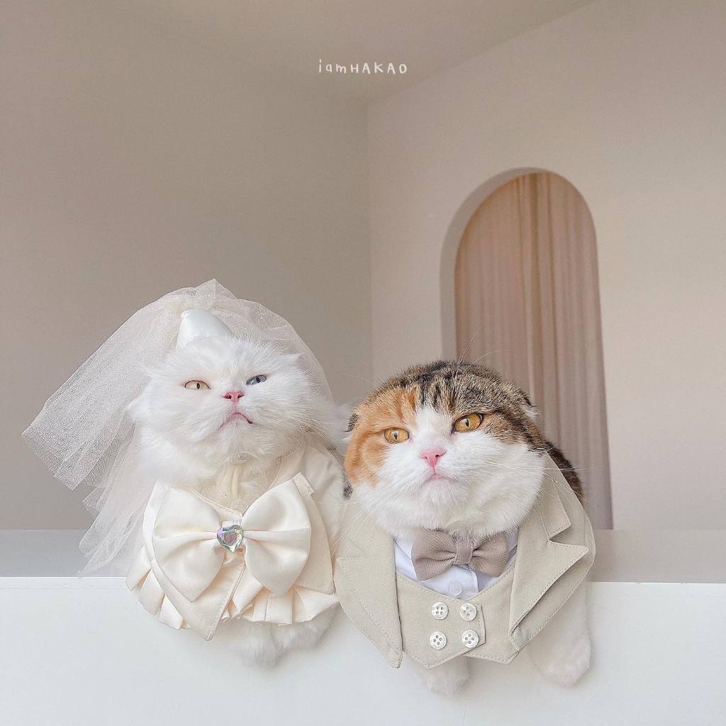 purrpet Wedding Dress for pet ชุดแต่งงานสำหรับสัตว์เลี้ยง (Pre-order 2-3 วัน)