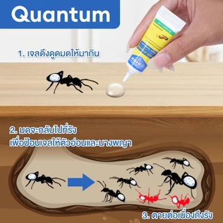Quantum เจลกำจัดมด ควอนตั้ม 12 กรัม
