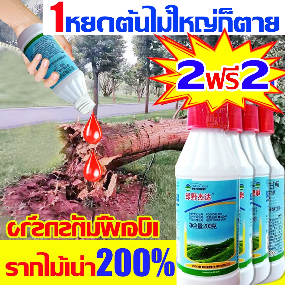 1 หยดต้นไม้ใหญ่ก็ตาย ยาฆ่าต้นไม้ ใหญ่ สารกําจัดกอไผ่ 200MLกำจัดต้นไม้และไผ่ให้หมดจดยาฆ่ากอไผ่ ยาฆ่าตอไม้