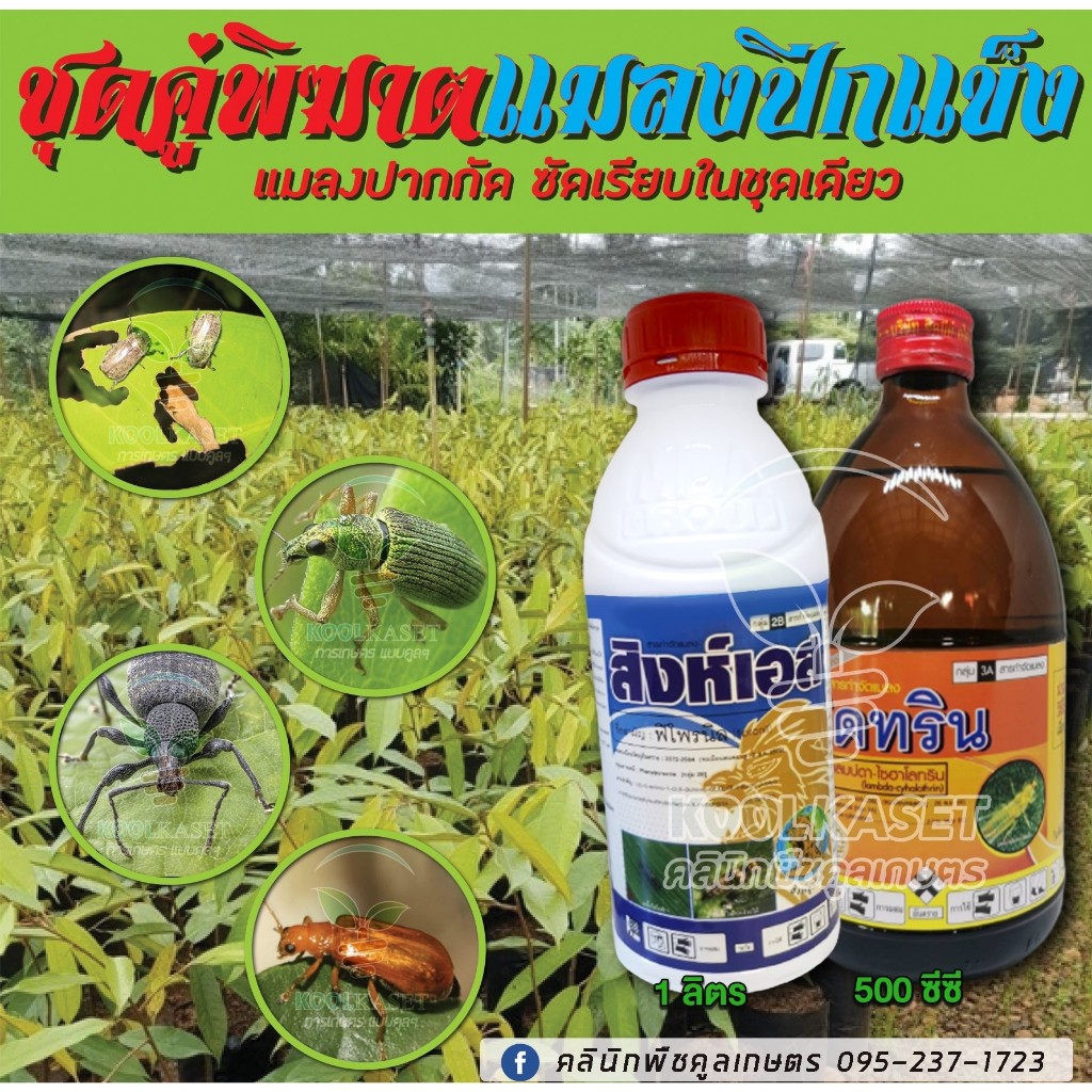 #สารกำจัดแมลง
#ฟิโพรนิล
#ยาฆ่าแมลง
#เพลี้ยกระโดด
#ด้วงหมัดผัก