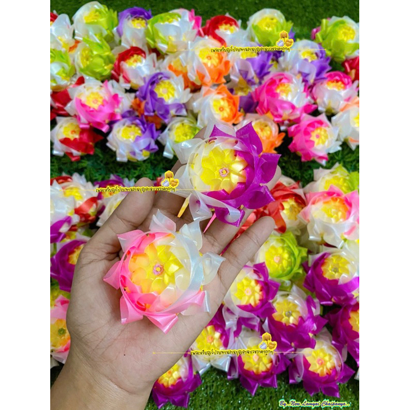 เหรียญโปรยทานดอกบัว (ดอกบัวจันทิวา) ตัวเปล่า พร้อมส่ง