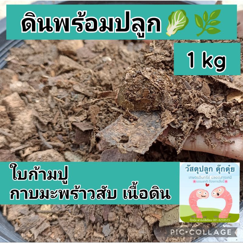 ดินใบก้ามปู ปลูกผัก ปลูกพืชสวนครัว ปลูกไม้กระถาง 1 kg