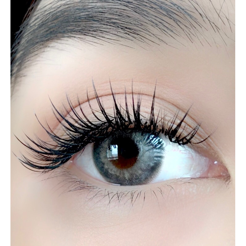 Swan Lash ขนตาปลอมช่อวอลลุ่ม0.05 ขนตาปลอมเกรดพรีเมี่ยมนำเข้าจากเกาหลี ขนตาปลอมสำหรับช่าง