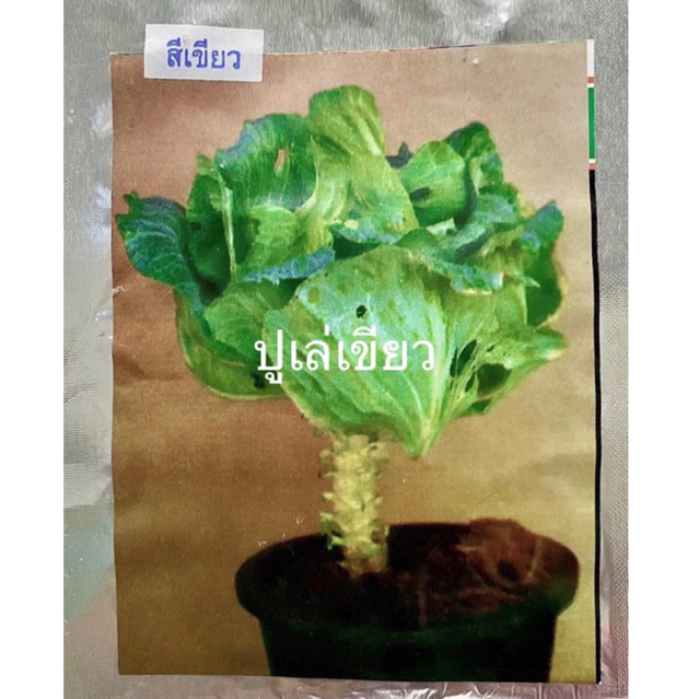 ปูเล่เขียว (ประมาณ 100-150 เมล็ด)