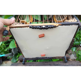 🔥🔥ที่ล็อคถาดรอง กรงนก ลูกบิดถาดรองกรงนกกรง