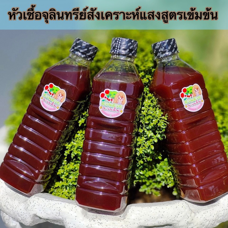 🌿หัวเชื้อจุลินทรีย์สังเคราะห์แสง เข้มข้นมาก เพิ่มแคลเซียม โพแทสเซียม สามารถนำไปขยายต่อได้