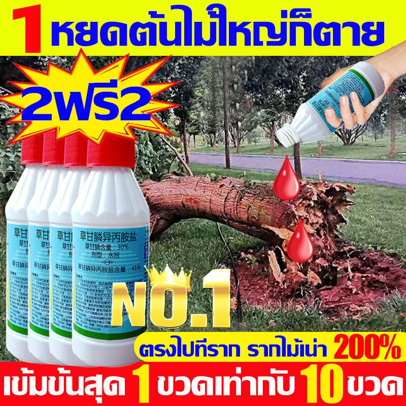 1หยดฆ่าต้นไม้ร้อยปี ยาฆ่าต้นไม้ ยาฆ่ากอไผ่ เข้มข้นสุดๆ200ml ไม่ทำร้ายดิน ทนนาน ยาฆ่าตอไม้ ยาฆ่าไผ่ ยาฆ่าต้นไผ่ ยาฆ่าหญ้า