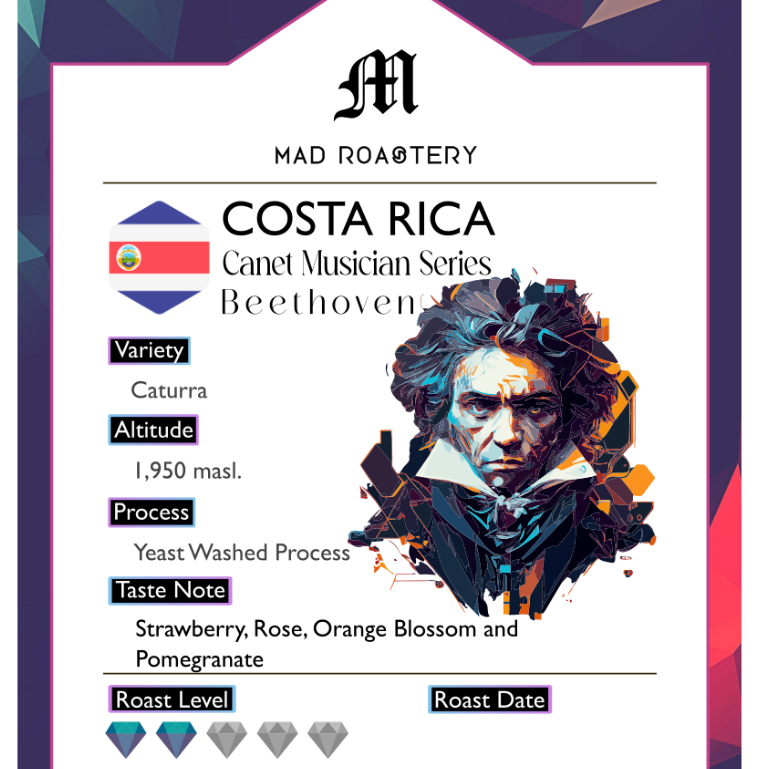 เมล็ดกาแฟ คั่วอ่อน Costa Rica Canet Musician Series Beethoven (Crop 2023)